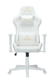 Компьютерное поворотное кресло BRAVE AF-5 Freeze White (белый)